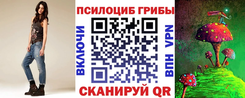 купить   Поронайск  Галлюциногенные грибы Magic Shrooms 